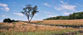 Brandywine Creek State Park.jpg