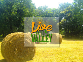 live-the-valley-banner.jpg